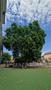 Photo uploaded by <i>magnani.luca.mihaela</i> on 07/14/2025