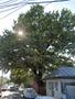 Photo uploaded by <i>Georgescu</i> on 07/10/2026