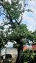 Photo uploaded by <i>Georgescu</i> on 07/10/2026