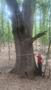 Photo uploaded by <i>TeoB</i> on 07/12/2026