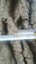 Photo uploaded by <i>TeoB</i> on 07/12/2026