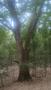 Photo uploaded by <i>TeoB</i> on 07/12/2026