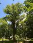 Photo uploaded by <i>moldovandan67</i> on 07/21/2026