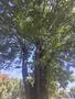 Photo uploaded by <i>ncon</i> on 09/09/2026