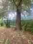 Photo uploaded by <i>stefanrahovean</i> on 09/11/2026